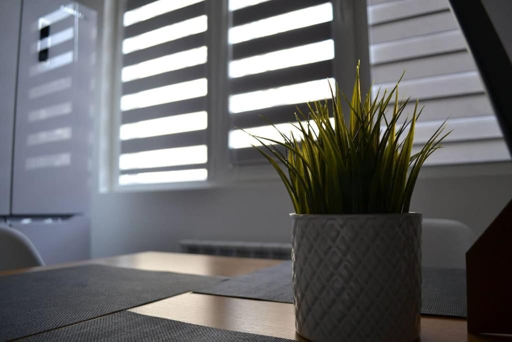Modern City Center 2 Bedroom Apartment โซเฟีย ภายนอก รูปภาพ